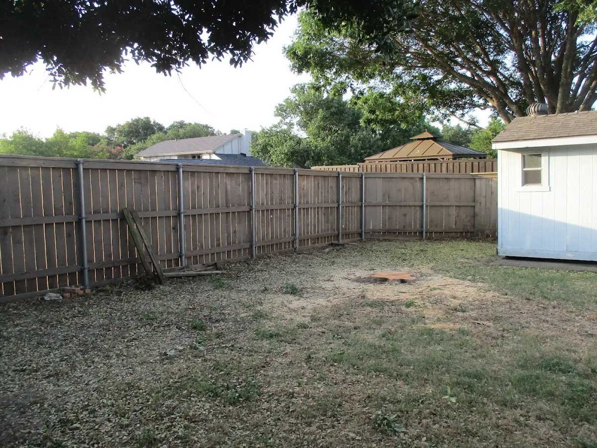 Cleared yard after professional tree removal in Freeville