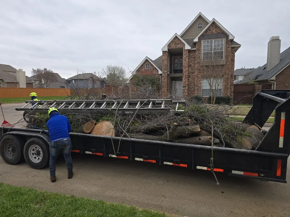 Expert Tree Fertilization with proper safety equipment in Freeville